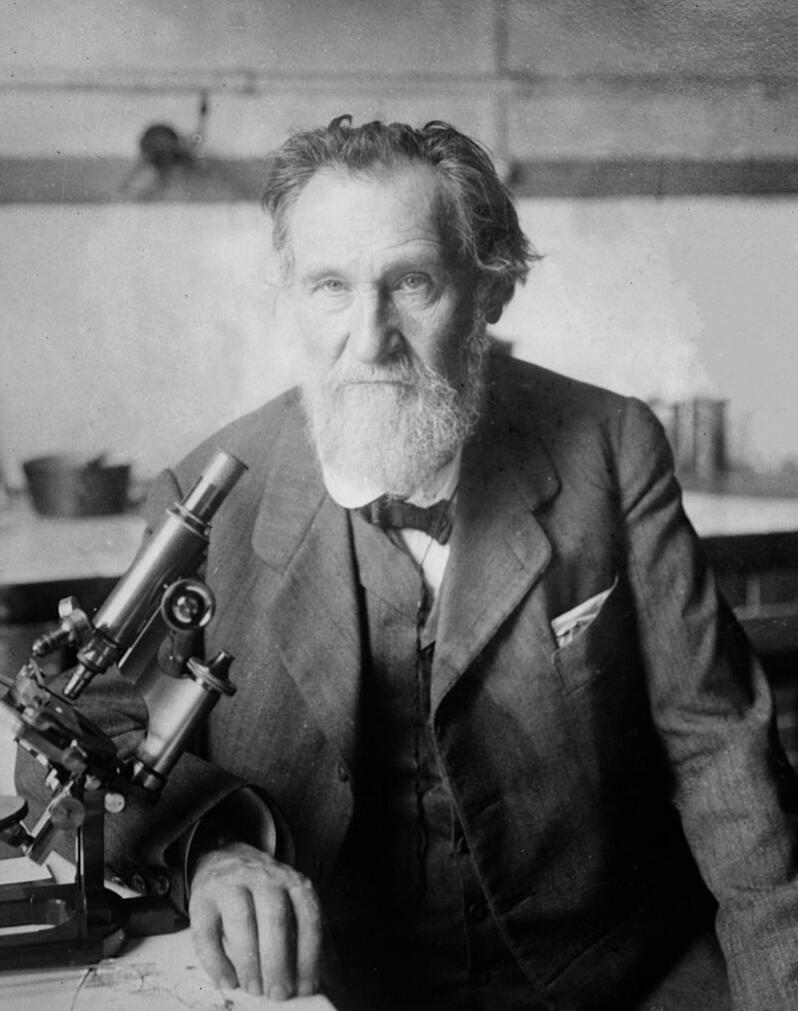 Elie Metchnikoff (between ca. 1910 and ca. 1915)